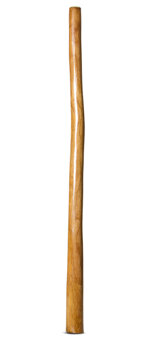 Gloss Finish Didgeridoo (TW1308)